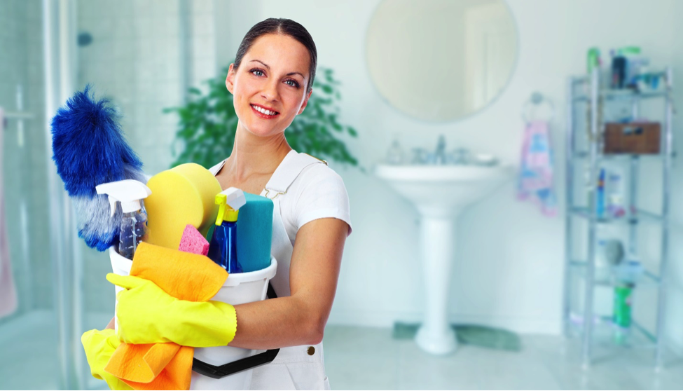 Professional House Cleaning Services and the Reasons You Need Them