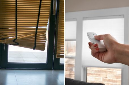 Why motorized blinds are best over other blinds?