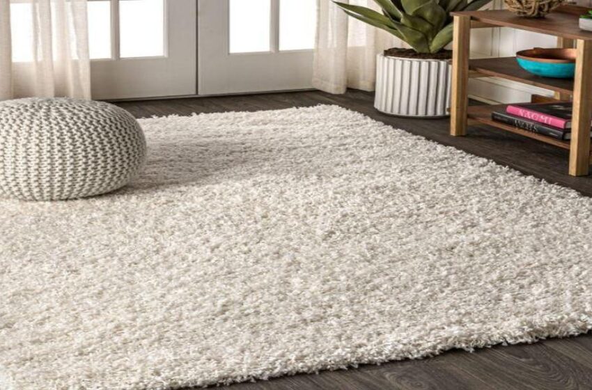  Shaggy Rugs are considered The Ultimate Comfort Accessory