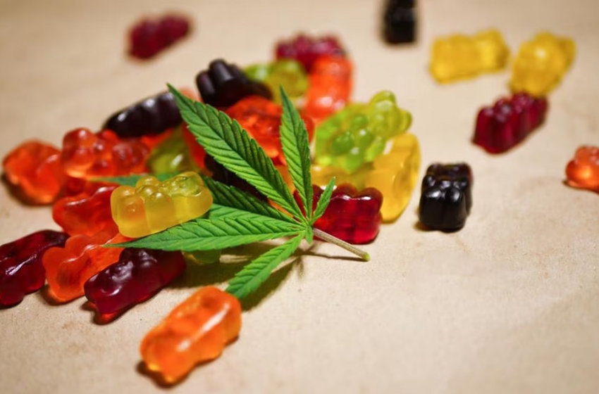 In the Eyes of Critics: How Delta 8 Gummies’ Reviews Illuminate Their Beneficial Impacts