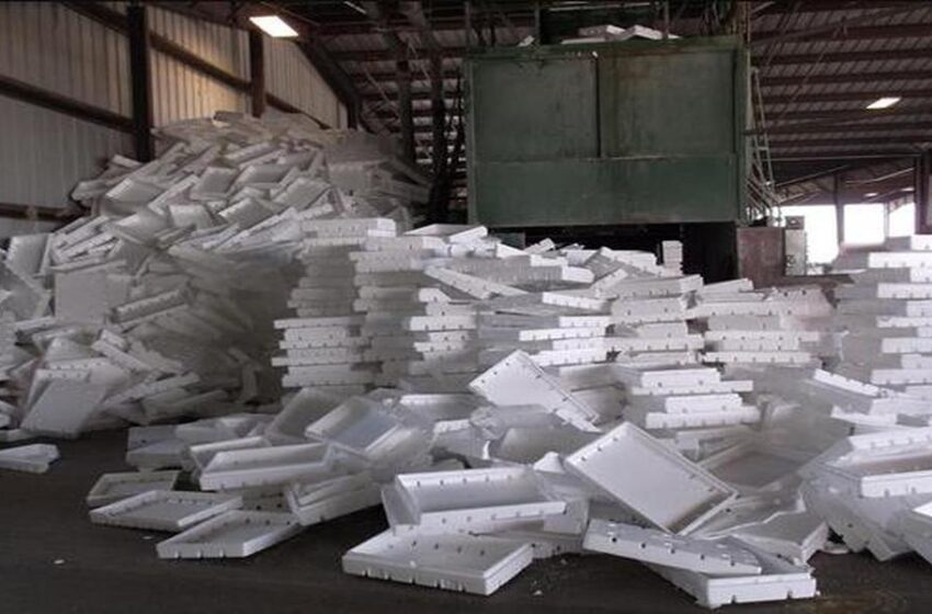 Turning Waste into Wealth: The Benefits of Expanded Polystyrene Foam Recycling